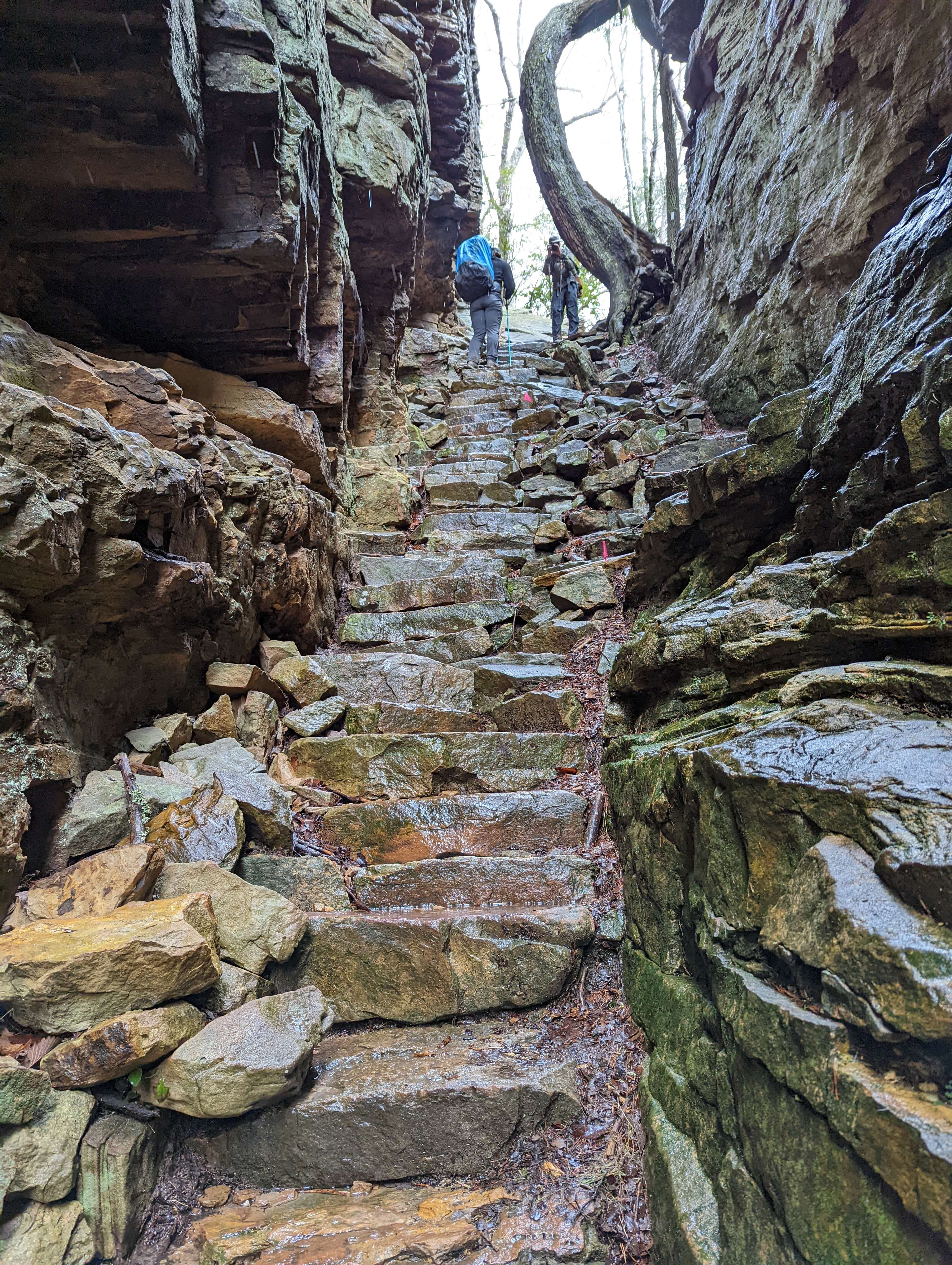 Stone stairs cut into a canyon wall