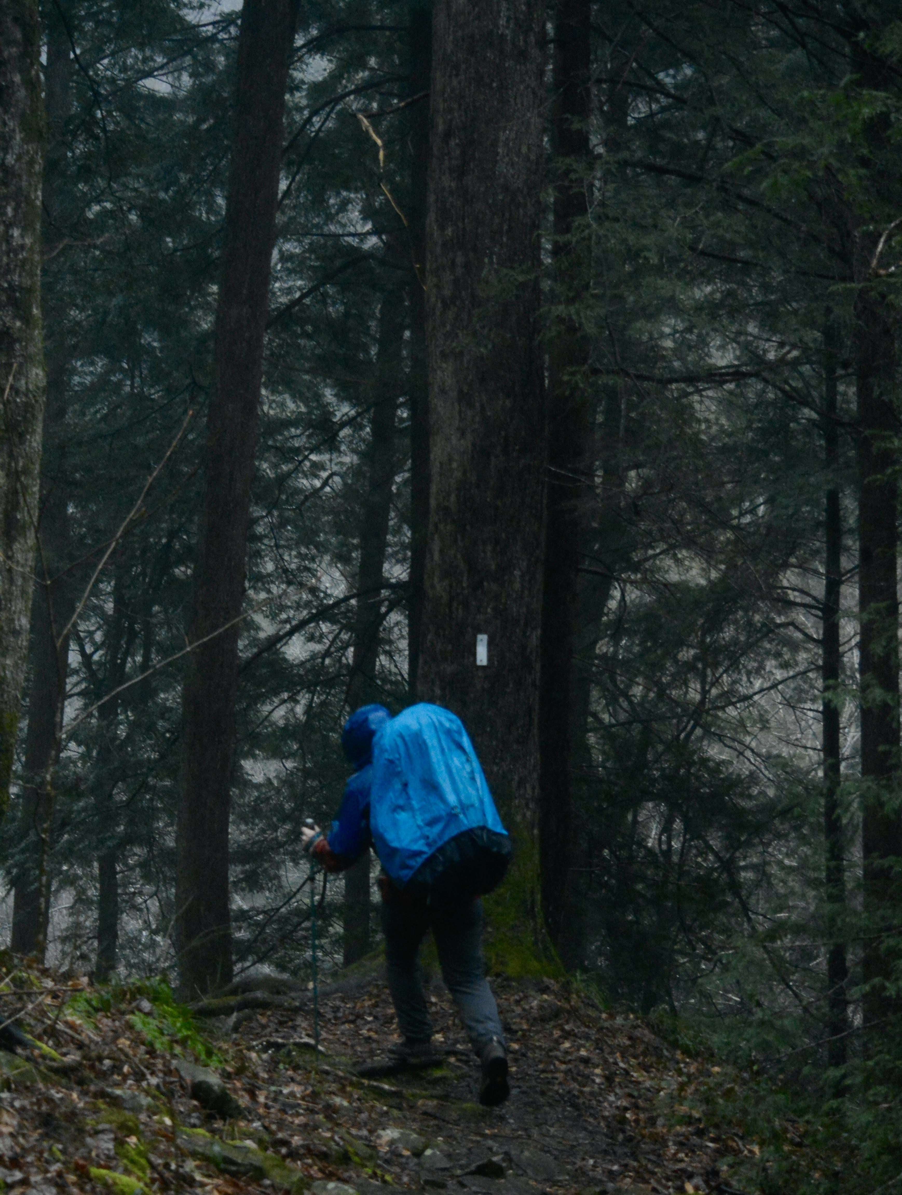A man hiking in rain